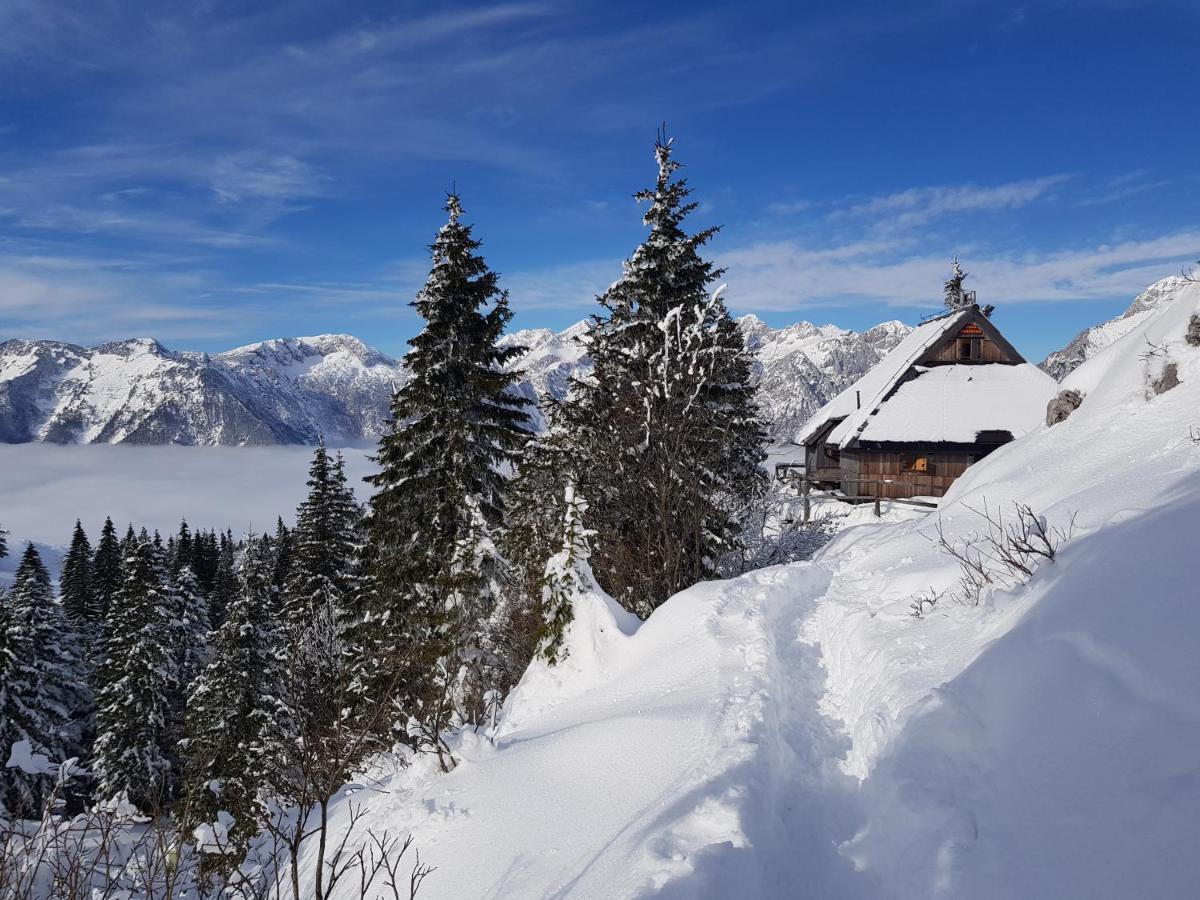 Chalet Gorenjka - Velika Planina Stahovica Zewnętrze zdjęcie