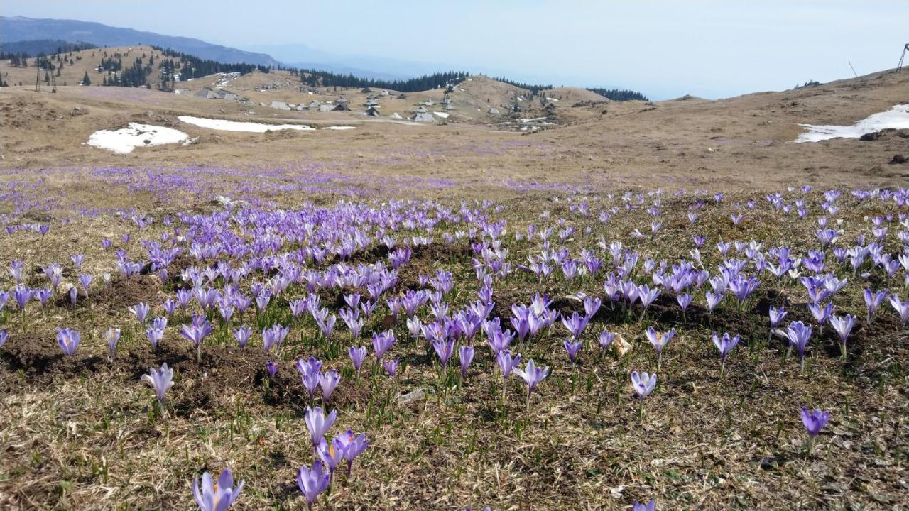 Chalet Gorenjka - Velika Planina Stahovica Zewnętrze zdjęcie
