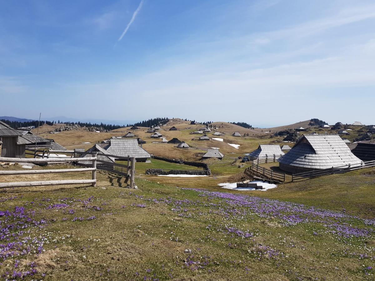 Chalet Gorenjka - Velika Planina Stahovica Zewnętrze zdjęcie